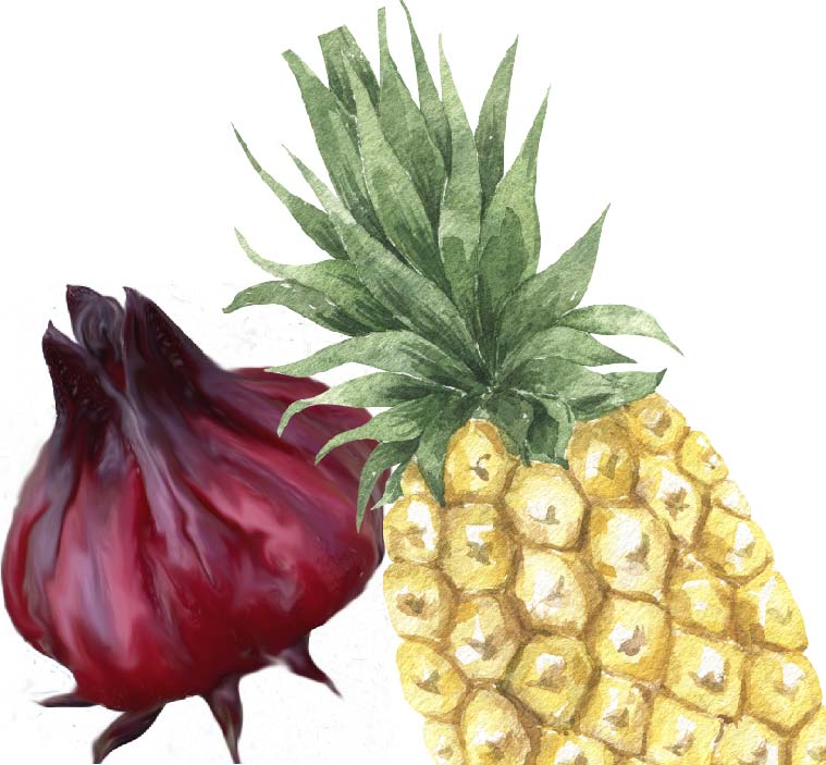 Pineapple Hibiscus